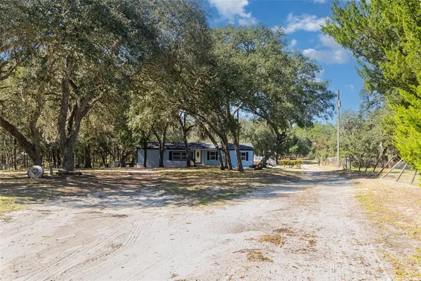 a view of a out door space with large trees