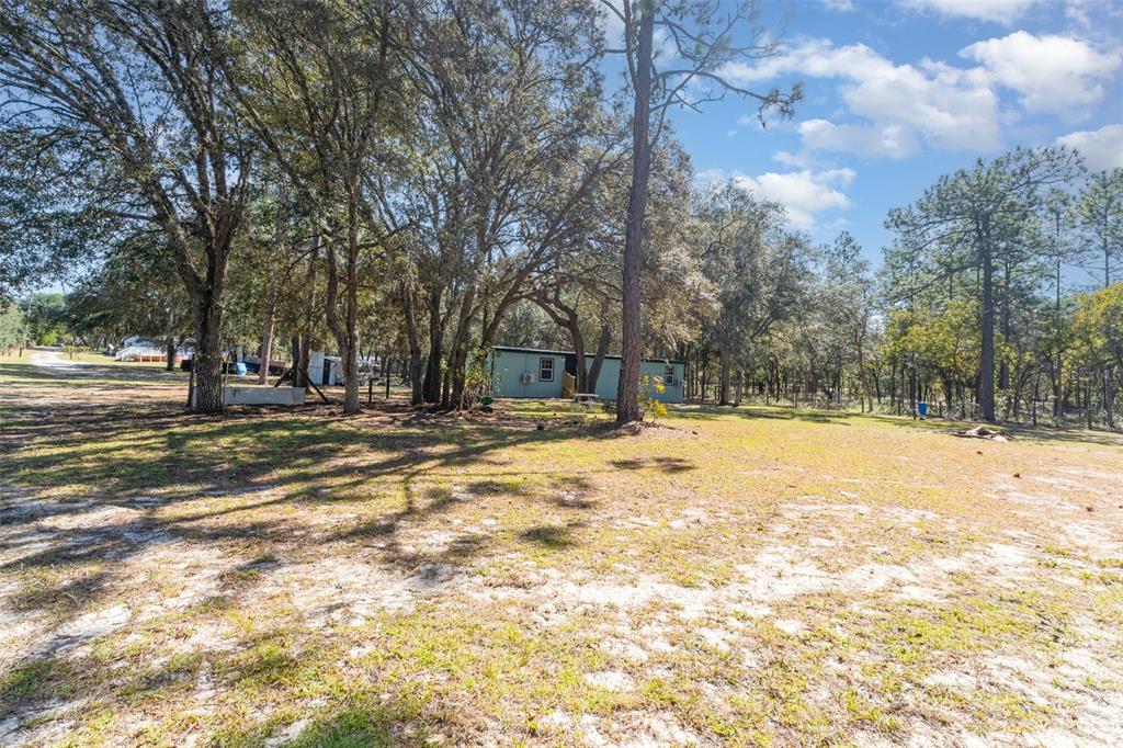 4664 Southwest 181st Court Dunnellon, FL 34432 - Photo 36 of 46 a view of back yard of the house