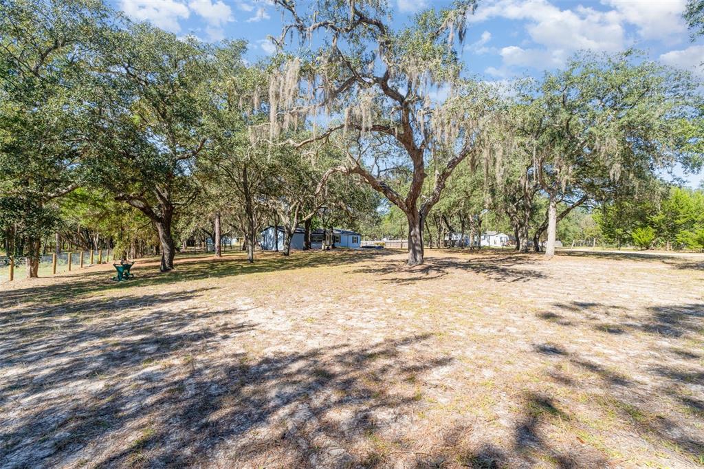 4664 Southwest 181st Court Dunnellon, FL 34432 - Photo 37 of 46 a view of road with trees