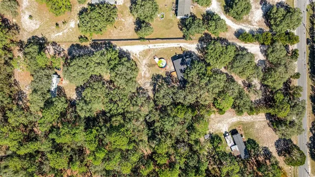 a view of a tree in a garden