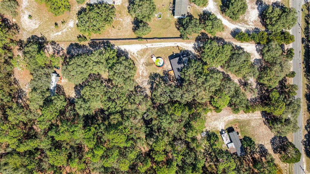 4664 Southwest 181st Court Dunnellon, FL 34432 - Photo 41 of 46 a view of a tree in a garden