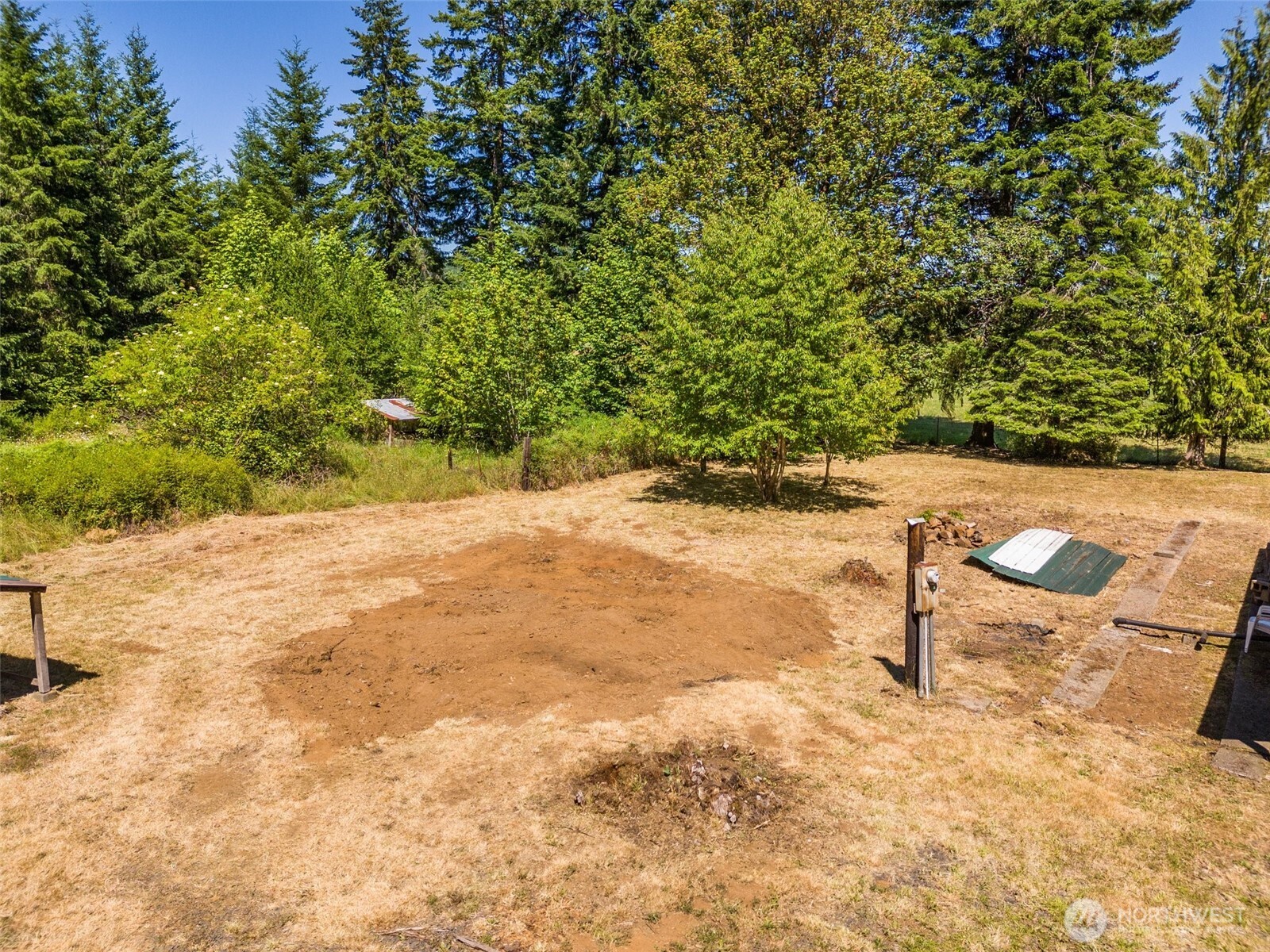 316 Leudinghaus Road Chehalis, WA 98532 - Photo 11 of 15 a view of backyard with green space