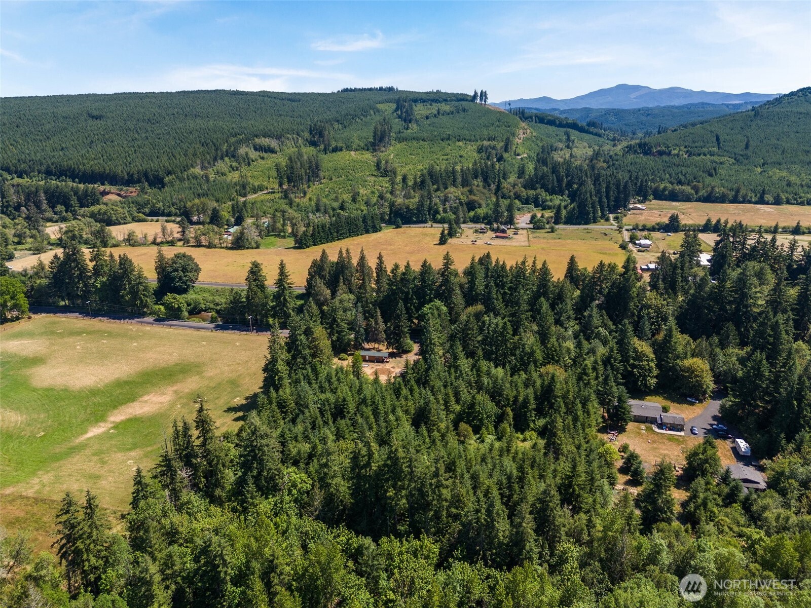 316 Leudinghaus Road Chehalis, WA 98532 - Photo 13 of 15 a view of lake with mountain