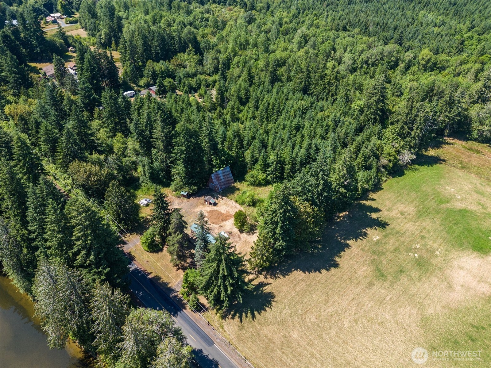 316 Leudinghaus Road Chehalis, WA 98532 - Photo 6 of 15 a view of a tree with a yard