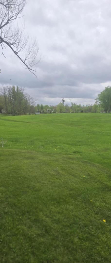 24-22 Woodhaven Sublette, IL 61367 - Photo 7 of 24 a view of a green field with clear sky