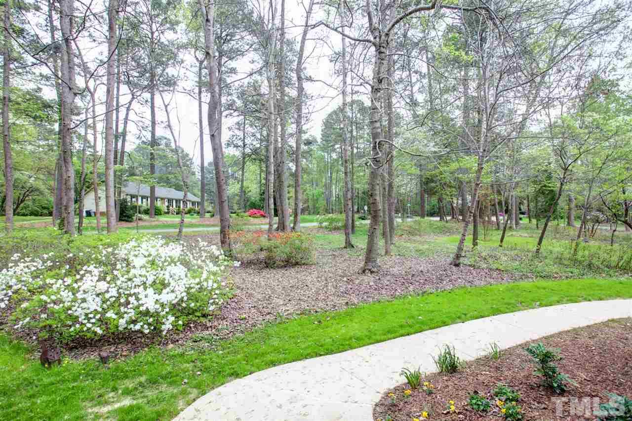 9605 Rock Creek Road Raleigh, NC 27613 - Photo 6 of 25 a view of a park with large trees
