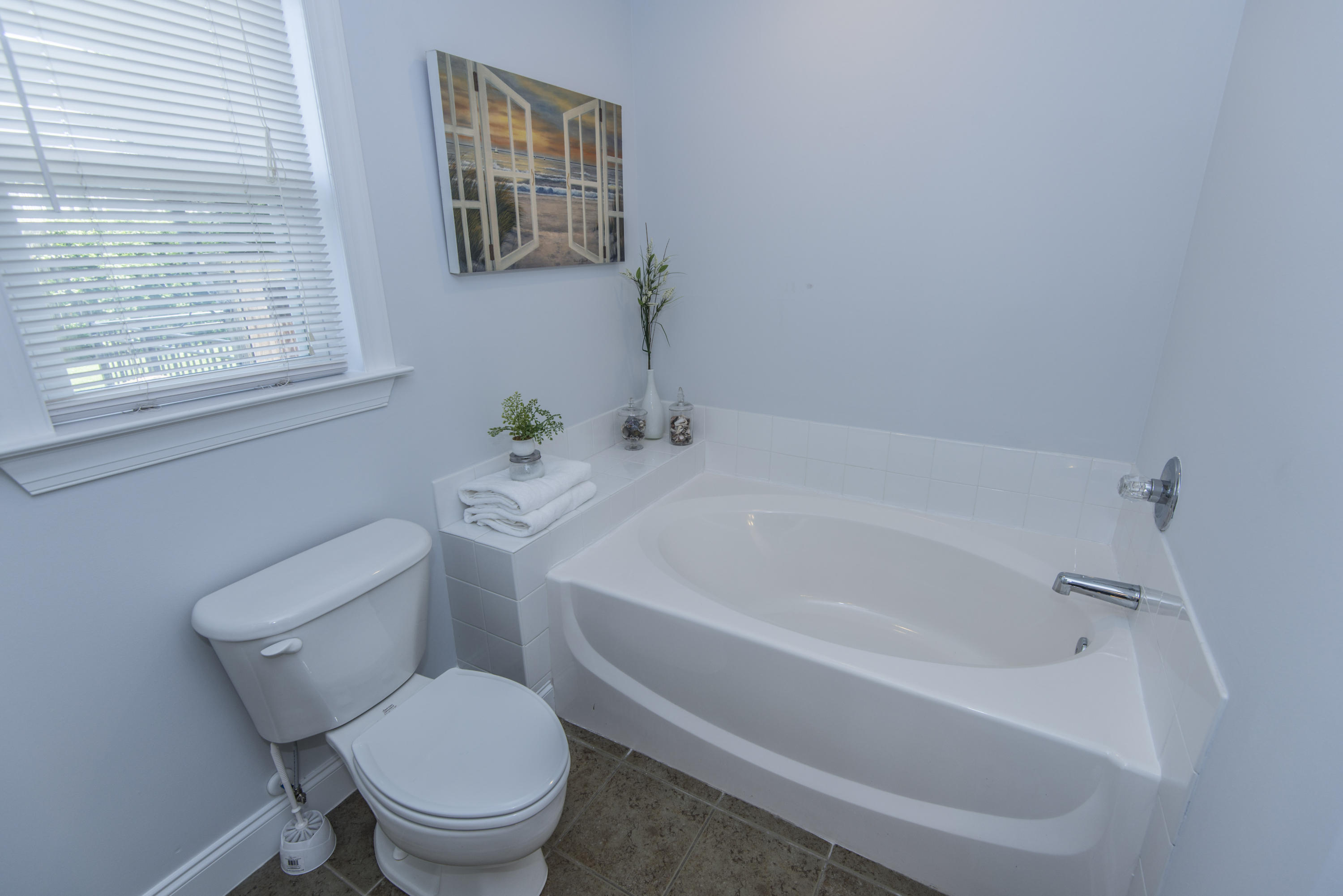 1684 Lauda Drive Mount Pleasant, SC 29464 - Photo 12 of 24 _DSC5385