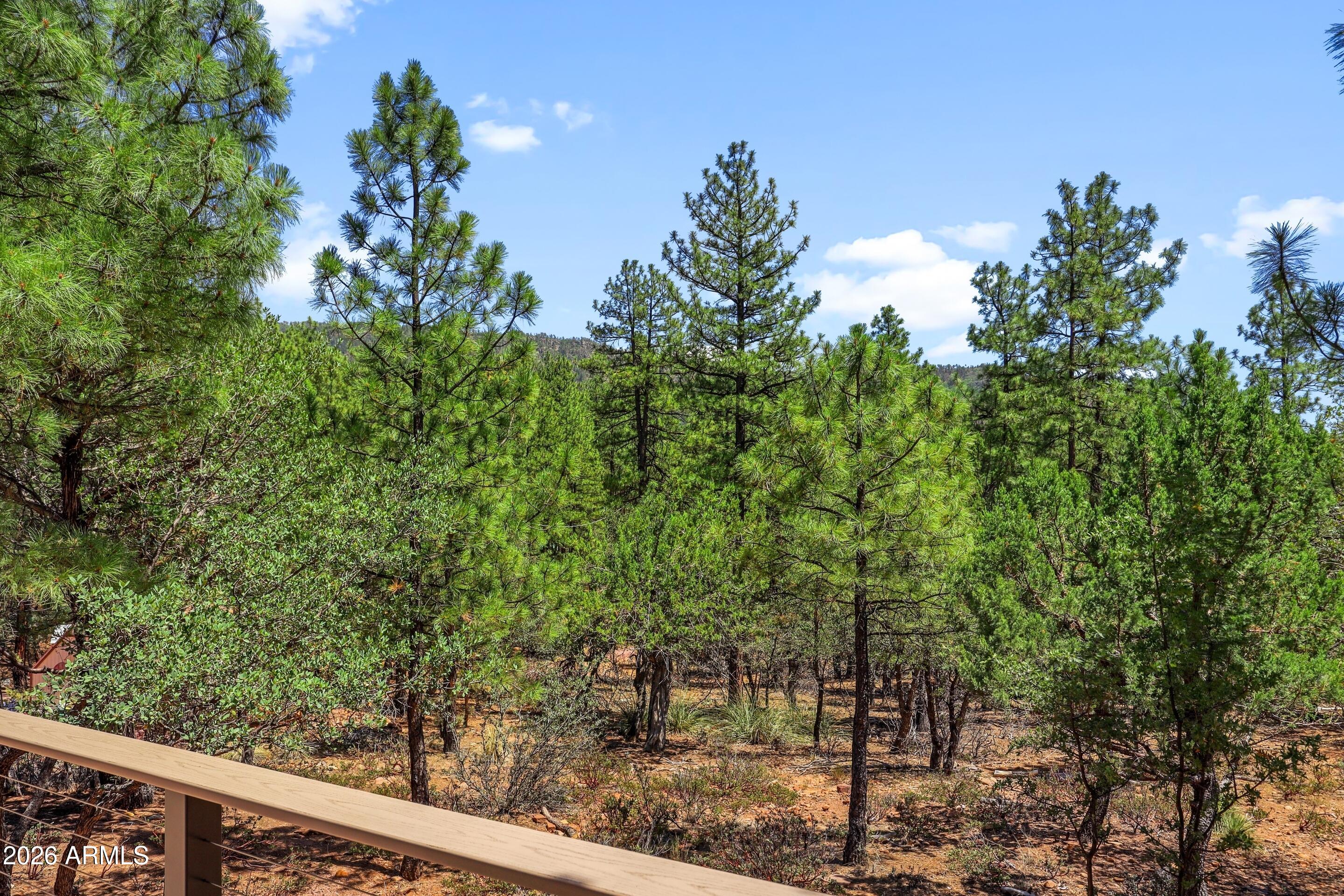 5837 Arroyo Way Pine, AZ 85544 - Photo 22 of 30 a view of a garden