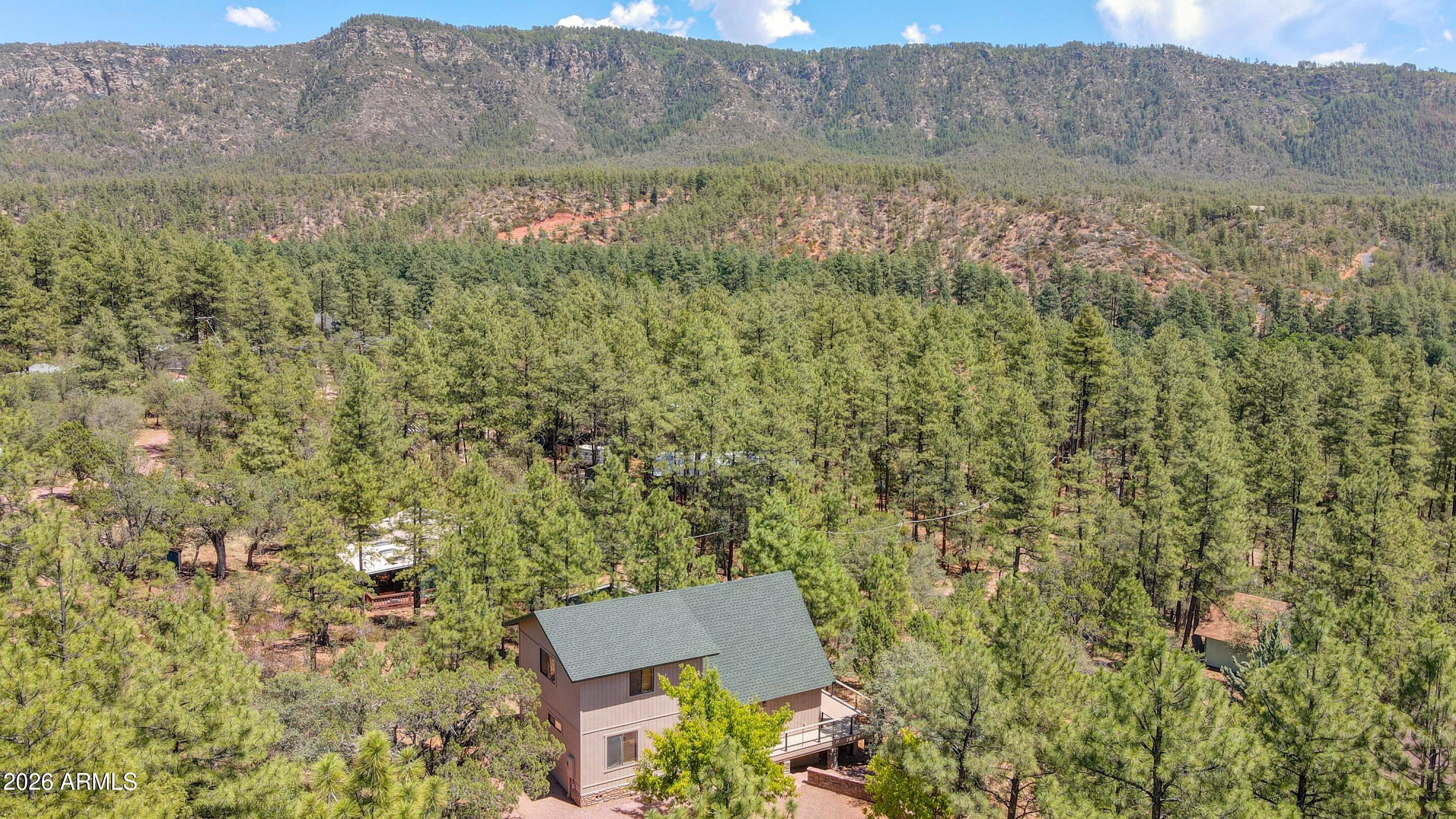 5837 Arroyo Way Pine, AZ 85544 - Photo 24 of 30 a view of a lush green field