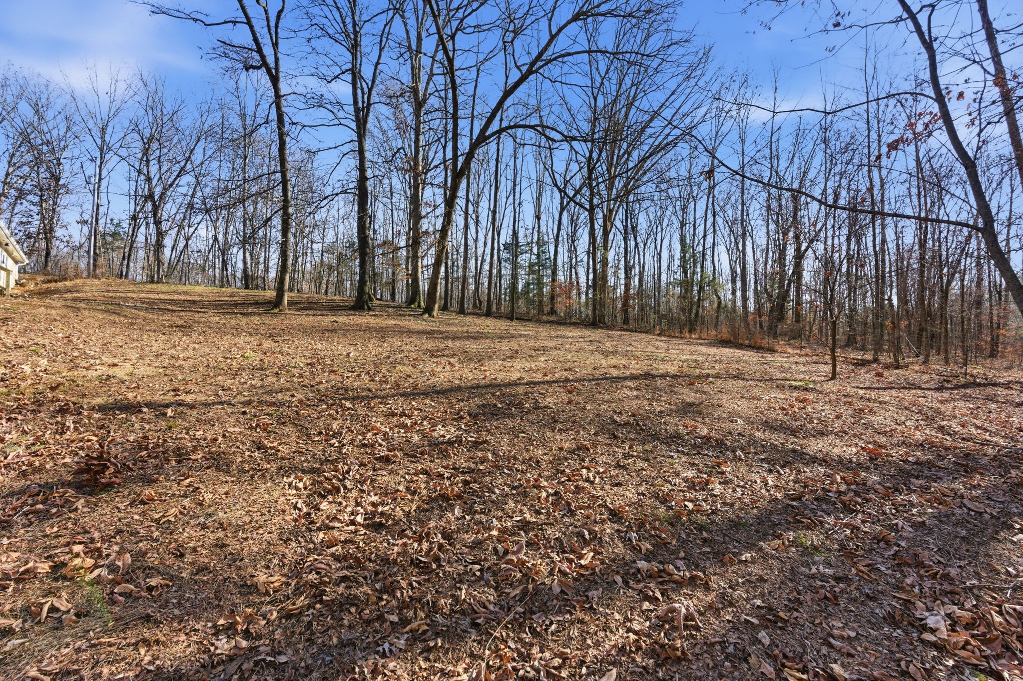 266 Meadows Road Portland, TN 37148 - Photo 12 of 15 a backyard of apartments with large trees