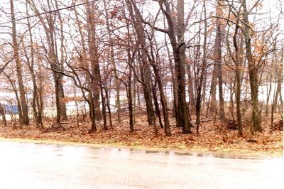 North Dengler Road Muskegon, MI 49442 - Photo 1 of 1 Primary Photo