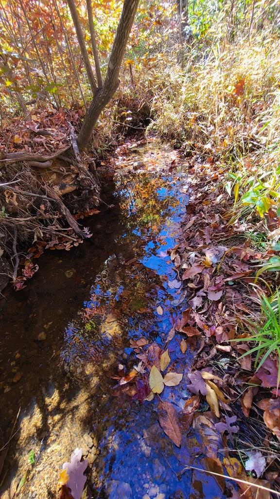640 Andersonville Road Appomattox, VA 24522 - Photo 22 of 33 Gallery Image 22