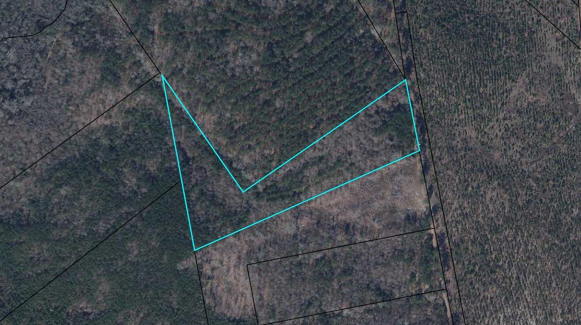 0 Rafting Creek Rembert, SC 29128 - Photo 1 of 3