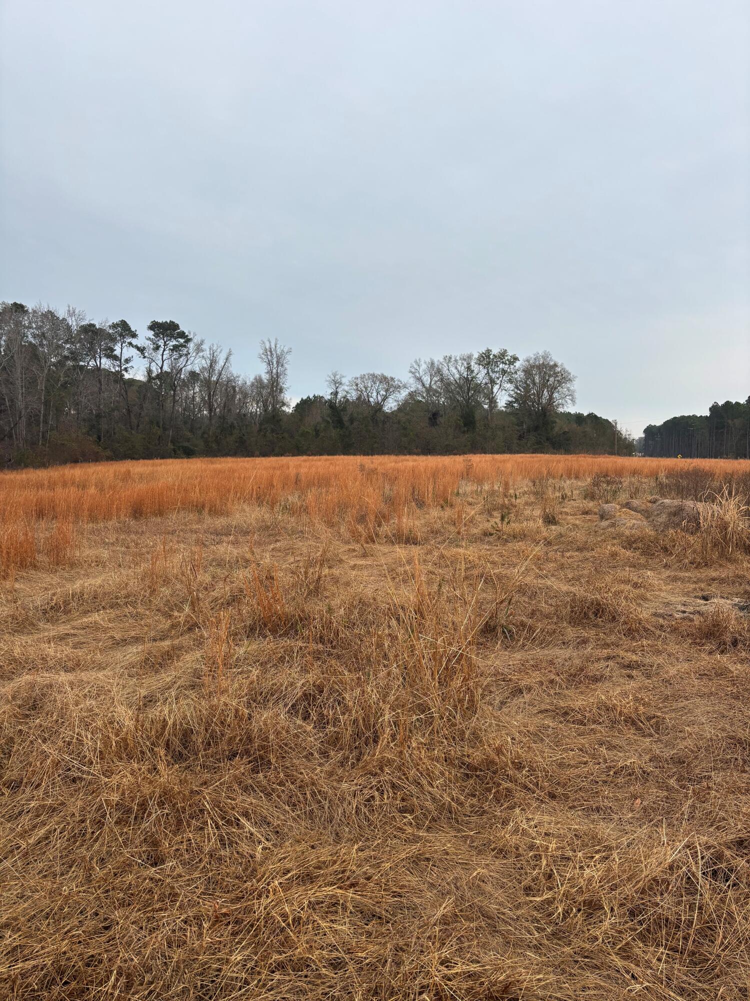 3959 East Cadley Road Norwood, GA 30821 - Photo 2 of 2 Cadley