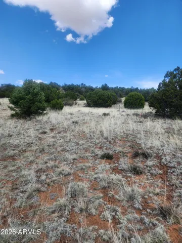 $12,500 | 4 Acr 8410, Unit 416, Show Low, AZ 85901