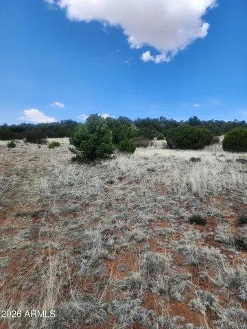 $12,500 | 4 Acr 8410, Unit 416, Show Low, AZ 85901