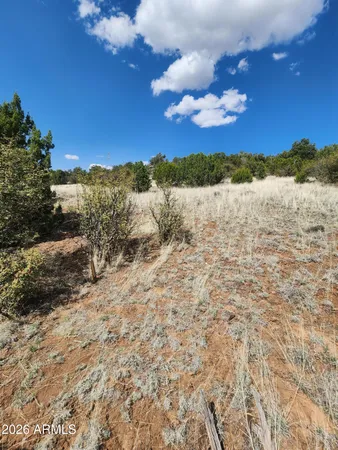 a view of lake with mountain