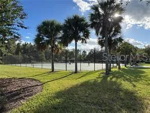 a large trees with lots of trees