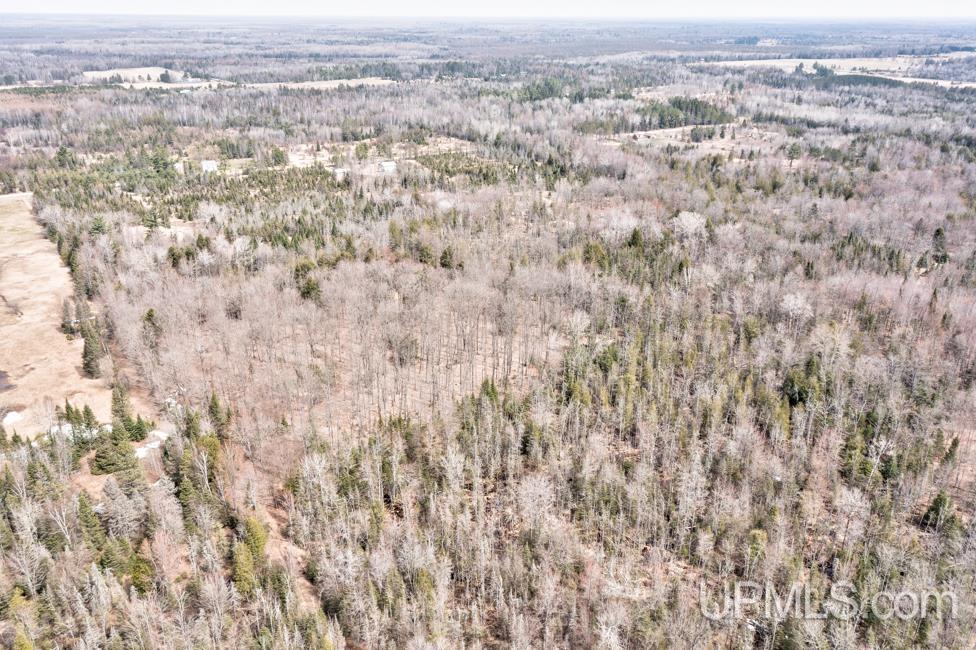14281 Evergreen Road Rock, MI 49880 - Photo 52 of 78