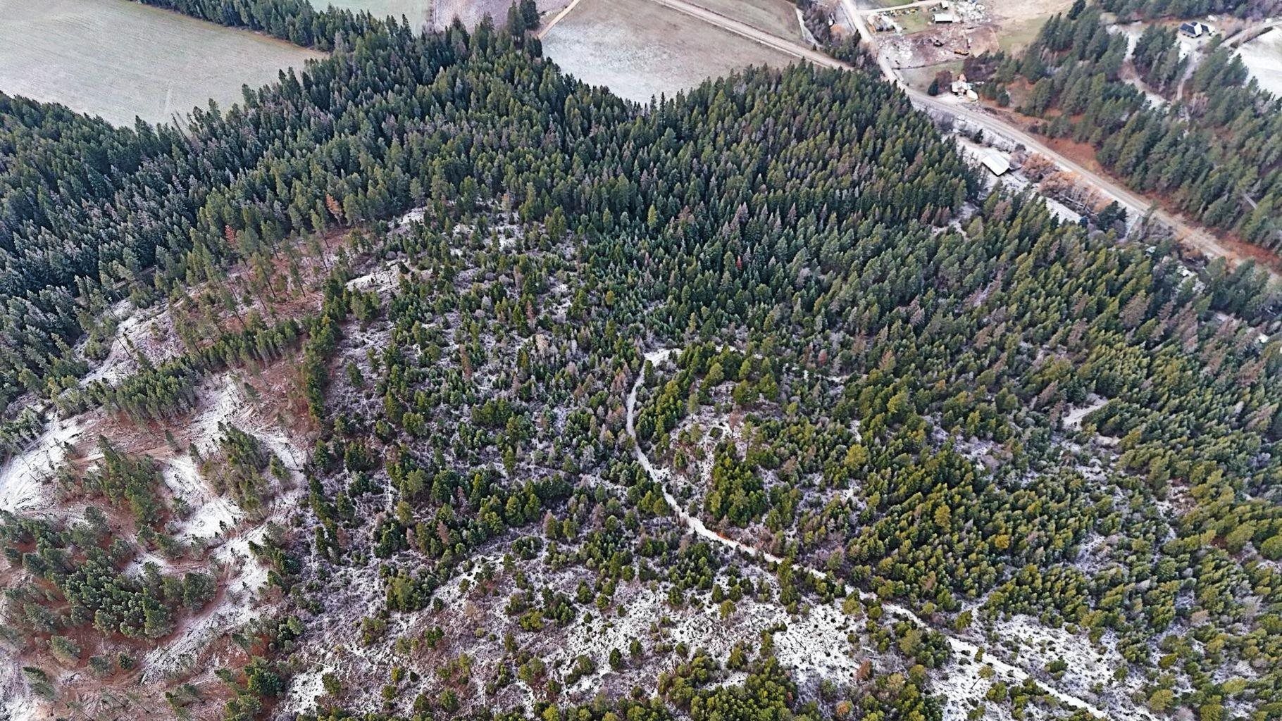 26-xx C Burnt Valley Road Chewelah, WA 99109 - Photo 3 of 8