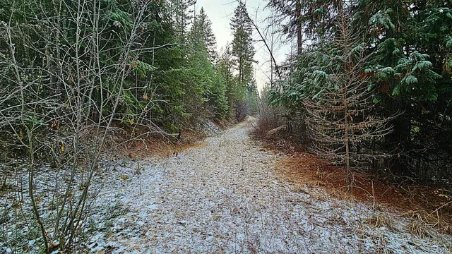 $115,000 | 26-xx C Burnt Valley Road, Chewelah, WA 99109