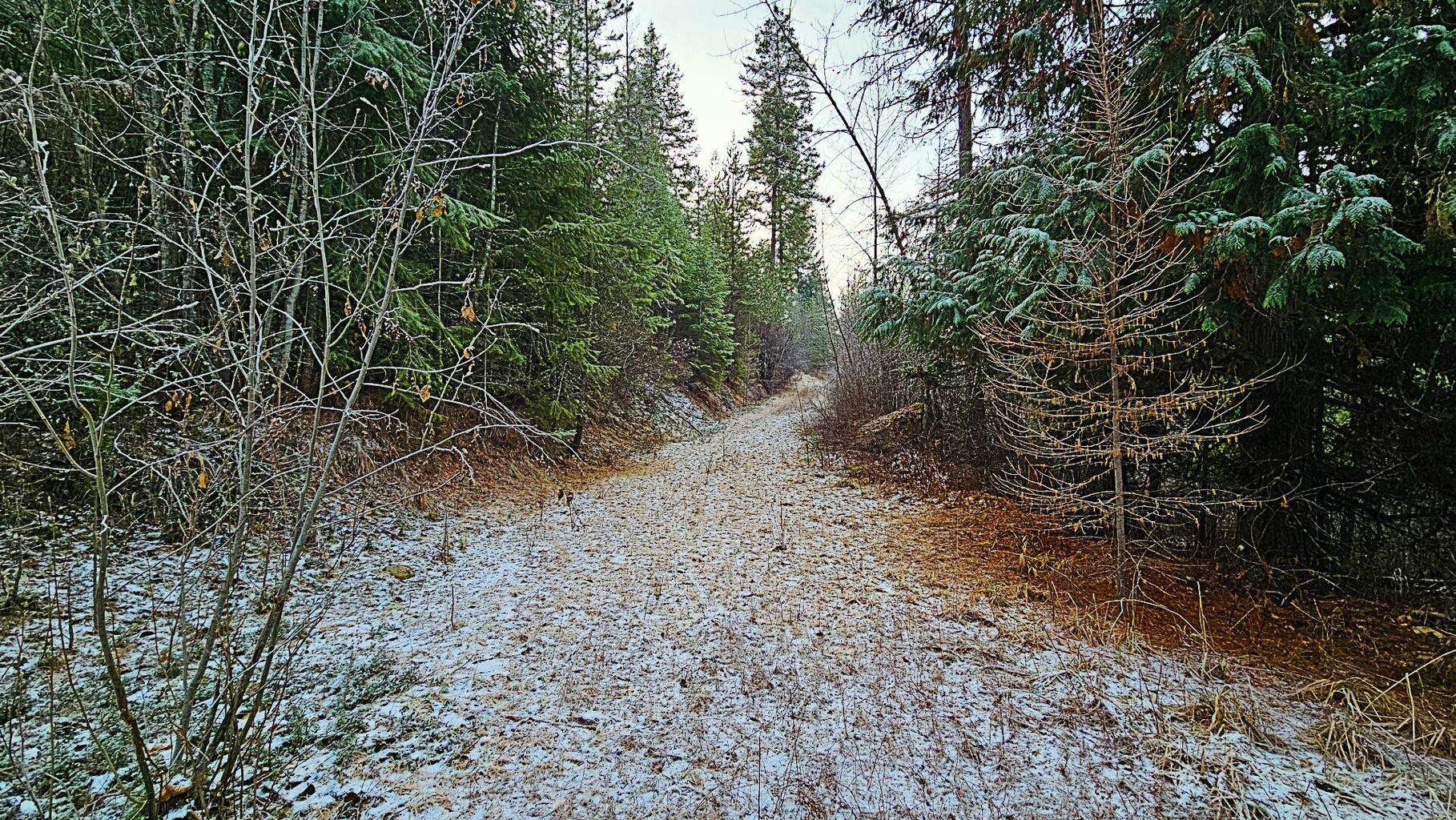 26-xx C Burnt Valley Road Chewelah, WA 99109 - Photo 6 of 8