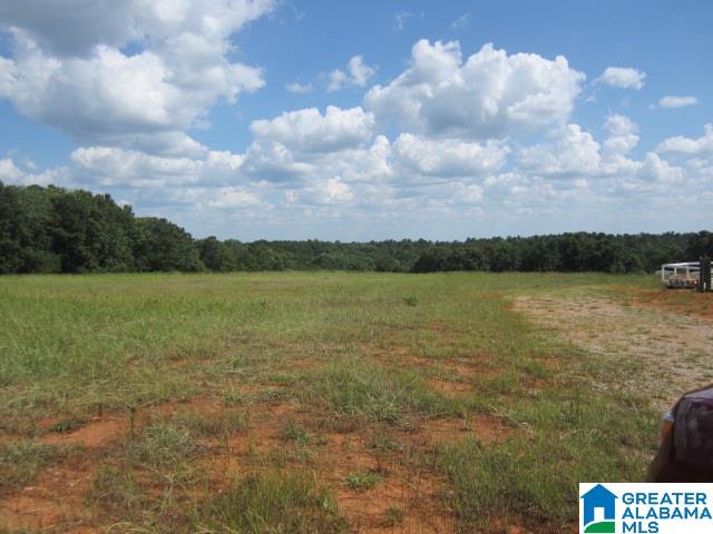 South Shades Crest Road, Unit 1 Birmingham, AL 35214 - Photo 3 of 7