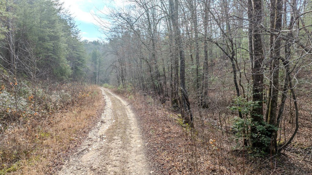 1.03 Deep Frst Road Murphy, NC 28906 - Photo 27 of 28