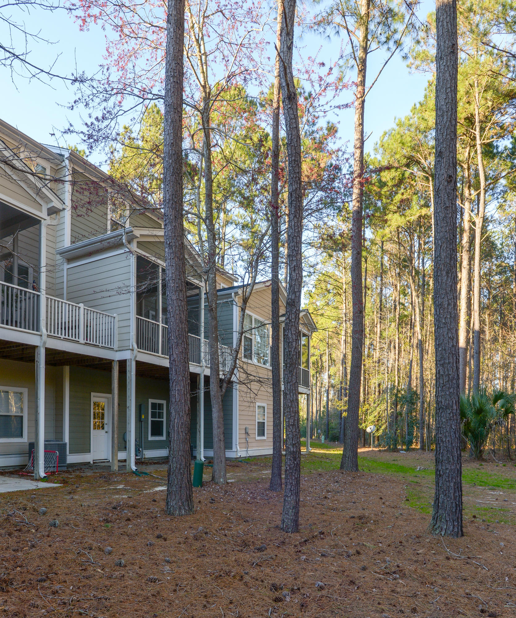 112 Fair Sailing Road Mount Pleasant, SC 29466 - Photo 16 of 19 Backyard