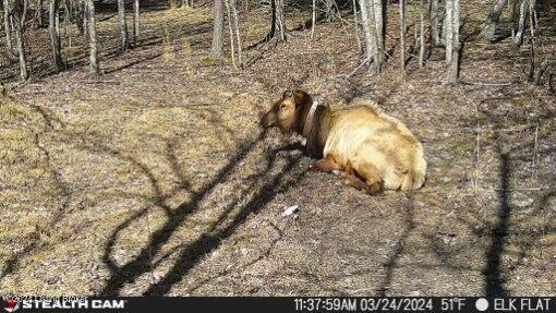 0 Beaver Dam Road Lost Creek, KY 41348 - Photo 20 of 35 IMG_0507