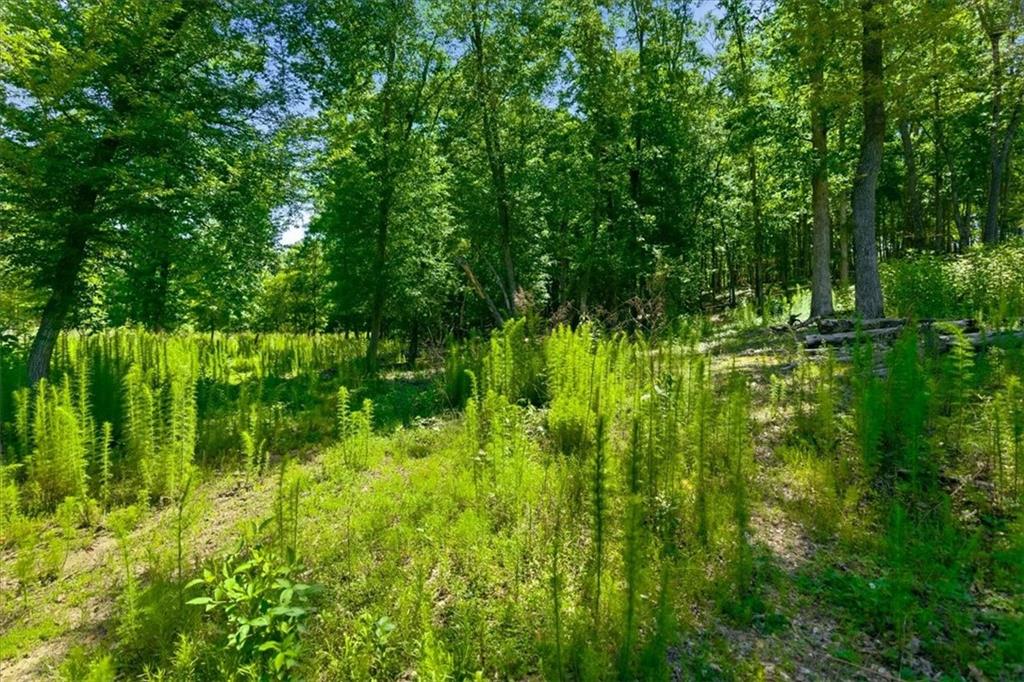 0 Williams Road Southeast Silver Creek, GA 30173 - Photo 26 of 35