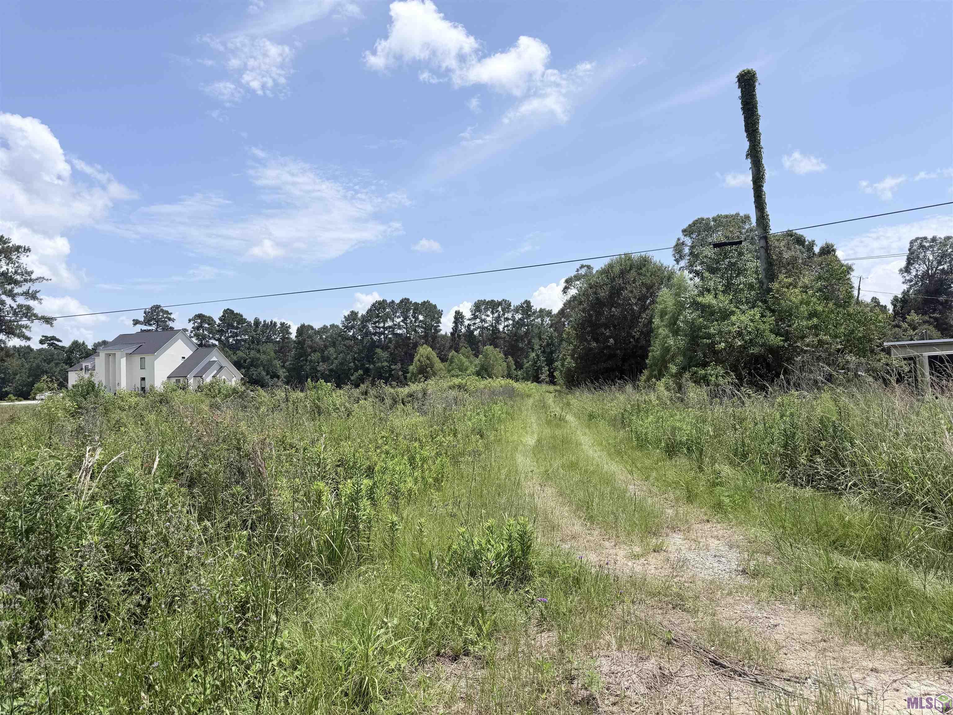 Lot Cc-3 Herman Ernest Road Denham Springs, LA 70706 - Photo 2 of 5