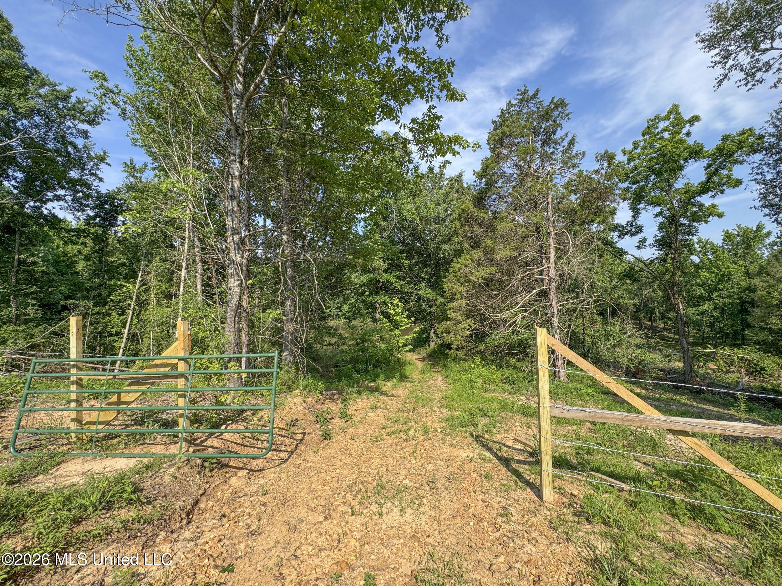 2169 Slocum Road Hernando, MS 38632 - Photo 56 of 94 8slcm13