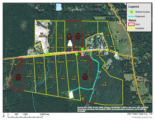 a street view of a yard