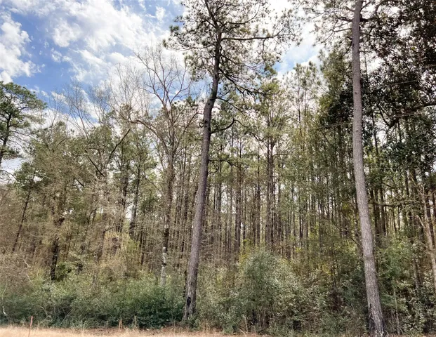 a view of lake view and mountain
