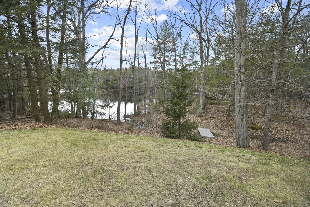 277 Secret Lake Road Athol, MA 01331 - Photo 30 of 36 a view of backyard with tree