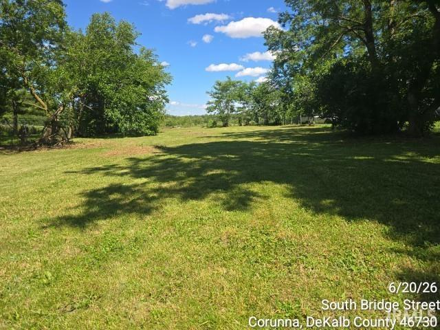 420 South Bridge Street Corunna, IN 46730 - Photo 19 of 21