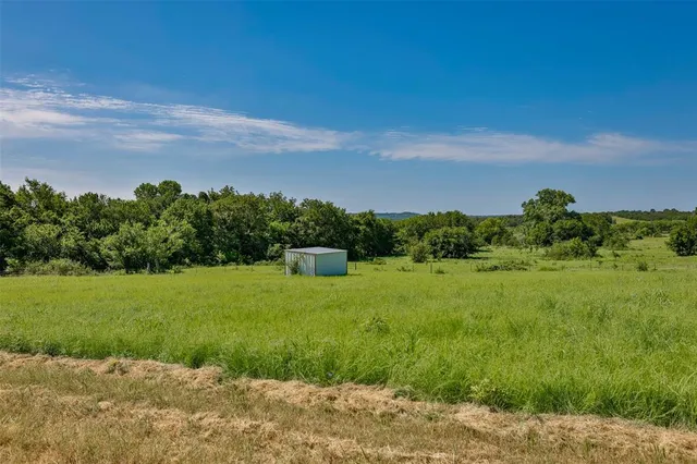 a view of a big yard with a large tree