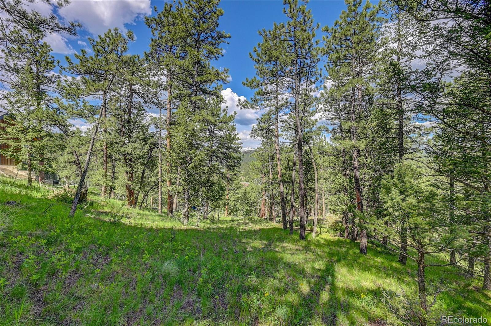 4465 Forest Trail Evergreen, CO 80439 - Photo 11 of 19 a view of garden