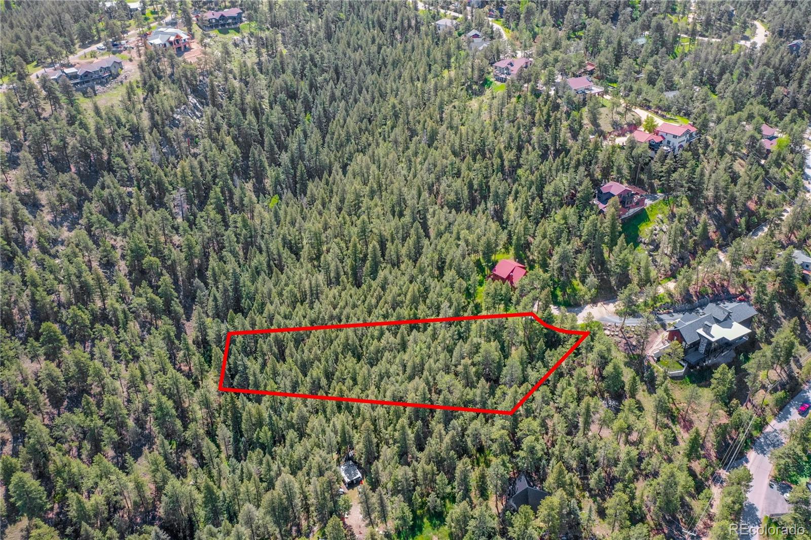 4465 Forest Trail Evergreen, CO 80439 - Photo 16 of 19 a view of a flower garden