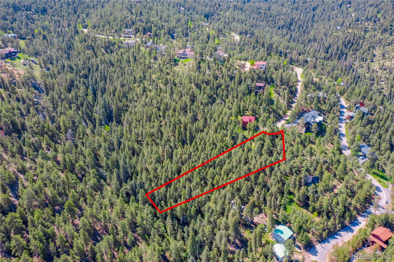 4465 Forest Trail Evergreen, CO 80439 - Photo 17 of 19 a close up of a plant