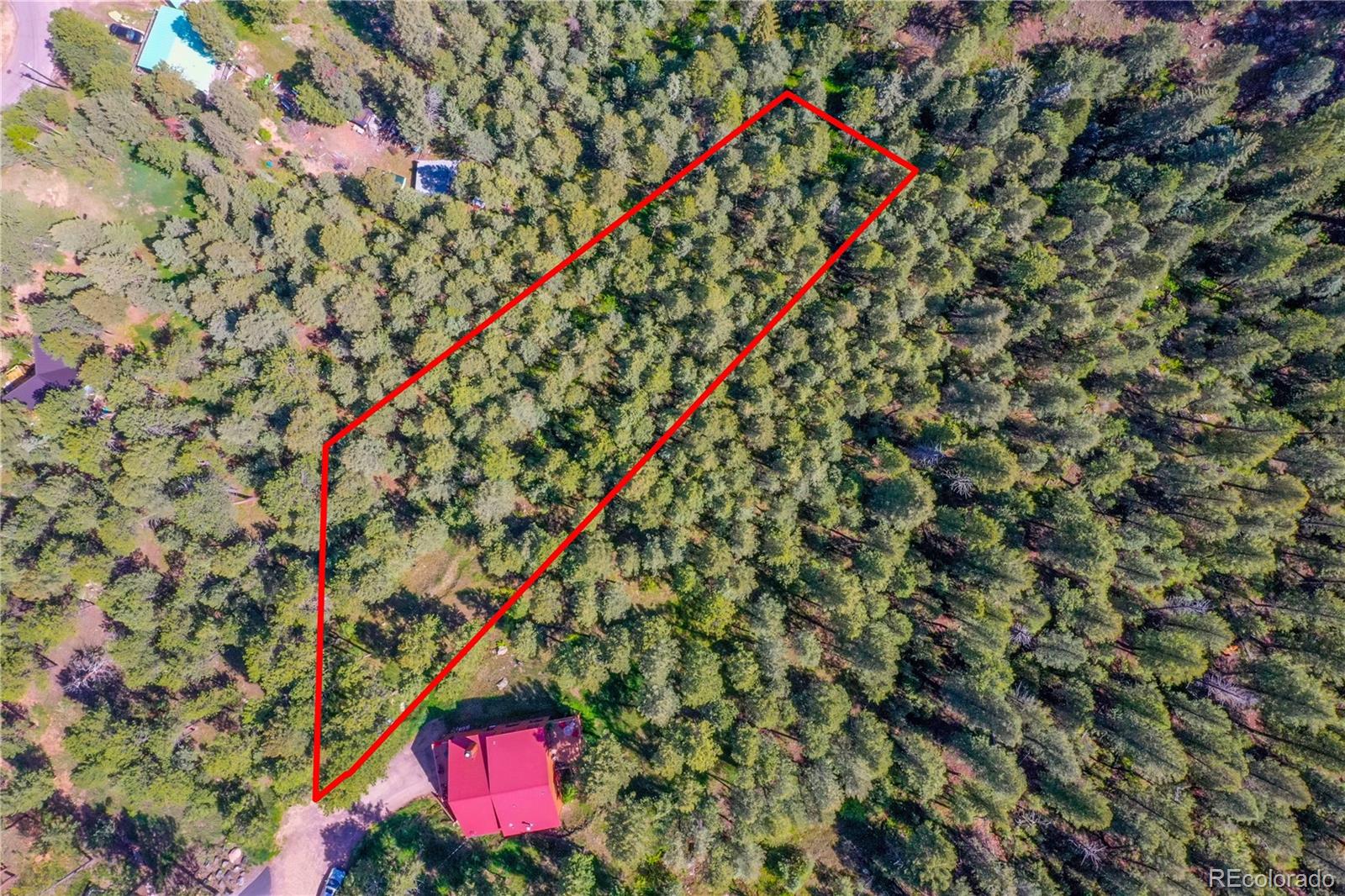 4465 Forest Trail Evergreen, CO 80439 - Photo 19 of 19