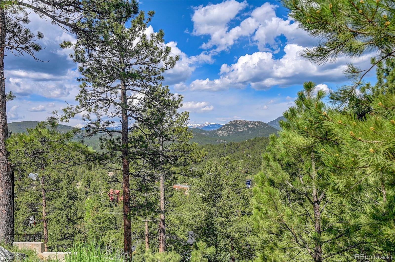 4465 Forest Trail Evergreen, CO 80439 - Photo 2 of 19 a view of a garden