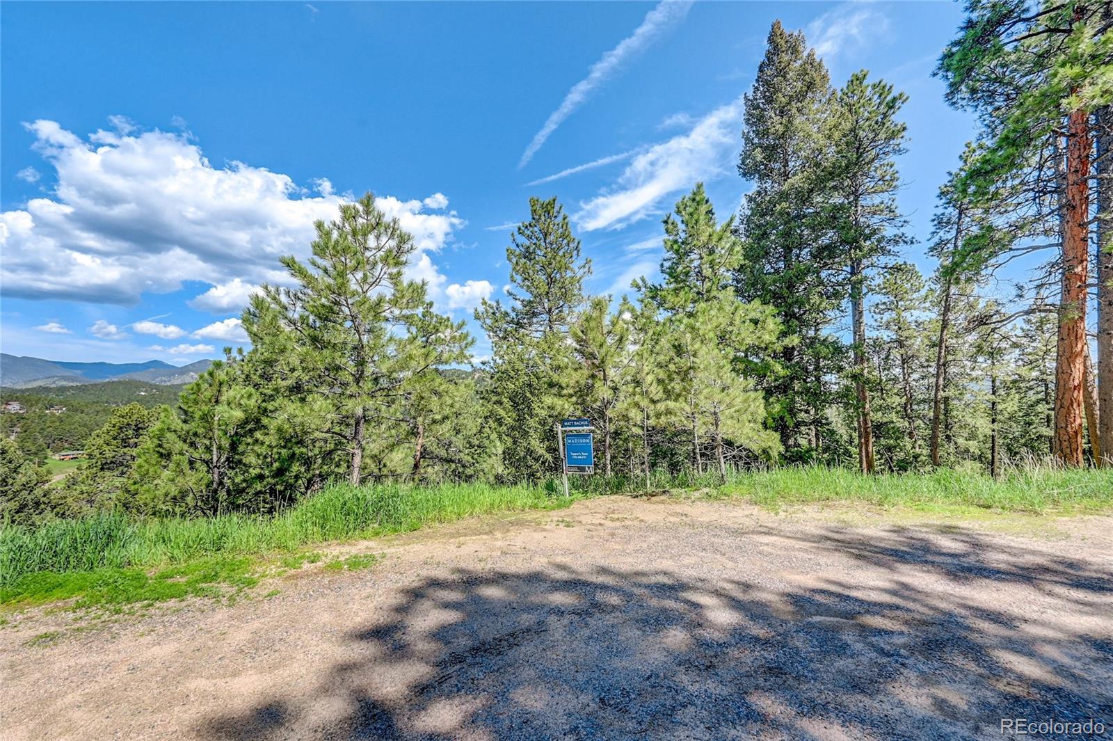 4465 Forest Trail Evergreen, CO 80439 - Photo 3 of 19 a view of a yard with a tree