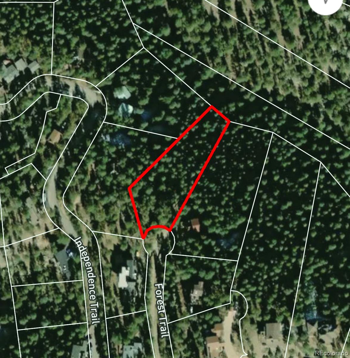 4465 Forest Trail Evergreen, CO 80439 - Photo 4 of 19 a picture of a plant