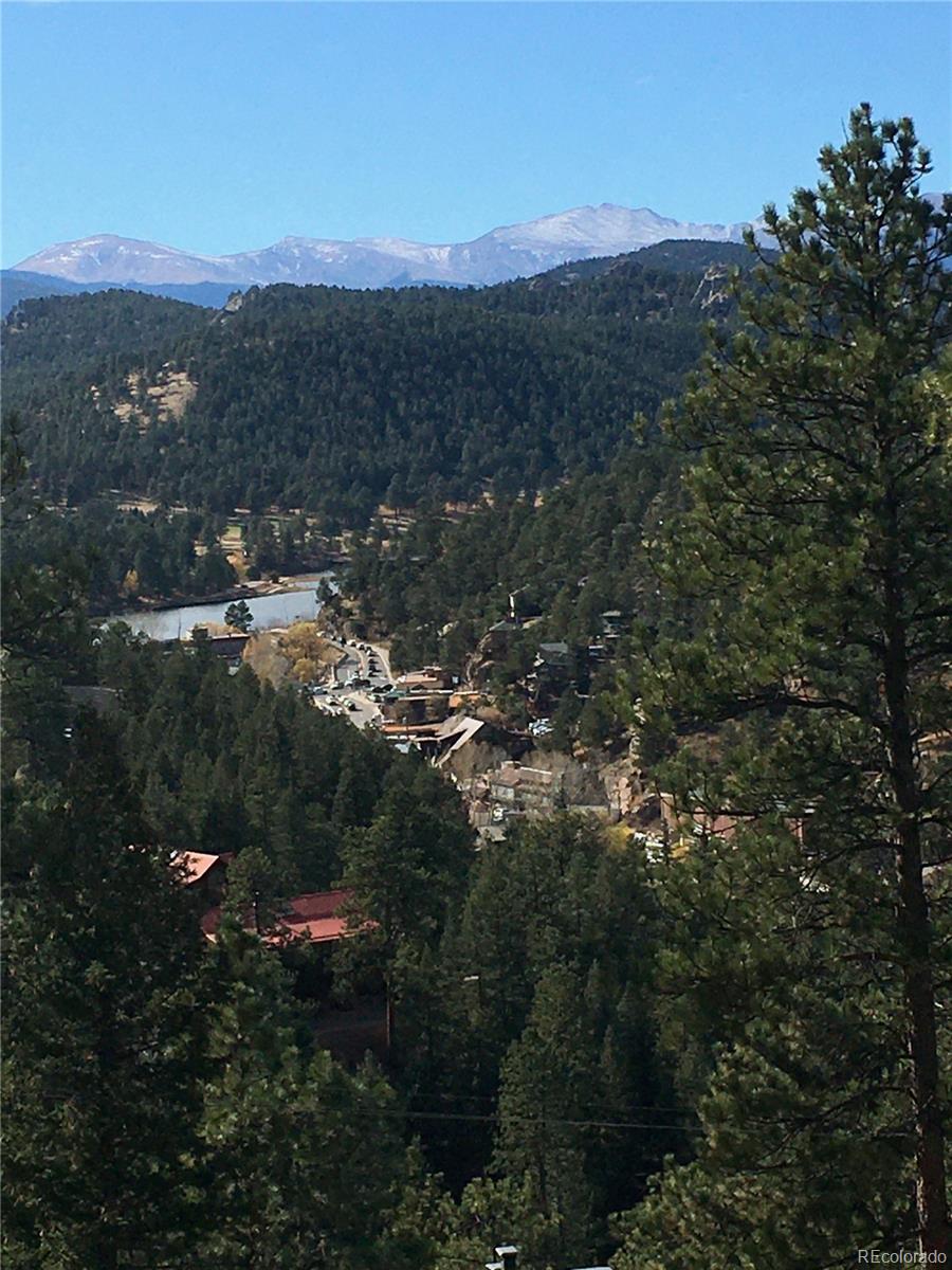 4465 Forest Trail Evergreen, CO 80439 - Photo 6 of 19 a view of a city