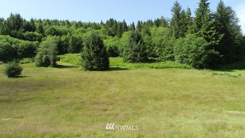 9999-parcel B Grant Road Port Angeles, WA 98363 - Photo 4 of 5 Gallery Image 4
