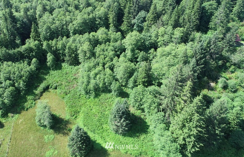 9999-parcel B Grant Road Port Angeles, WA 98363 - Photo 5 of 5 Gallery Image 5