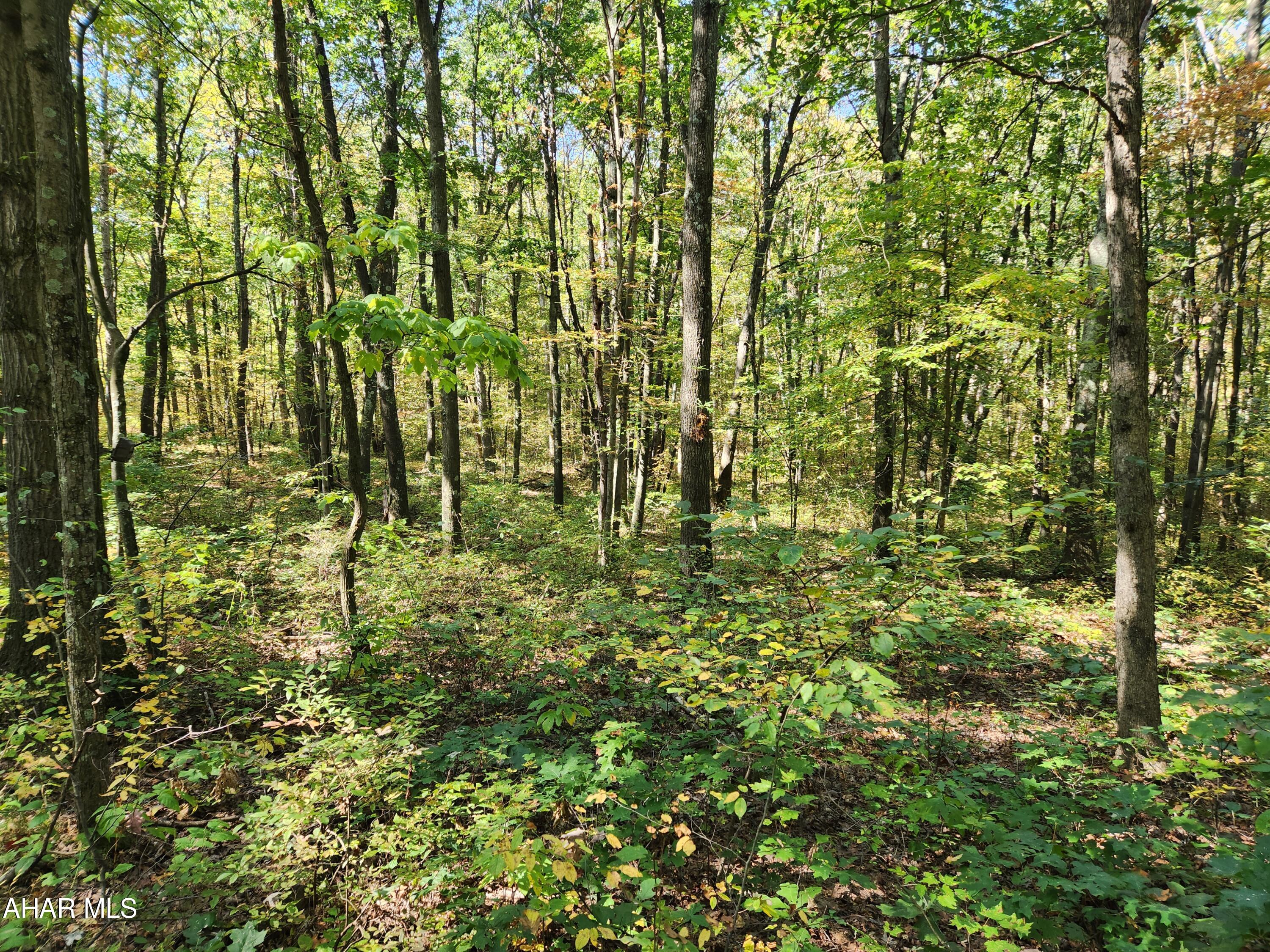 Off Pensyl Hollow Road Bedford, PA 15522 - Photo 13 of 19 Gallery Image 13