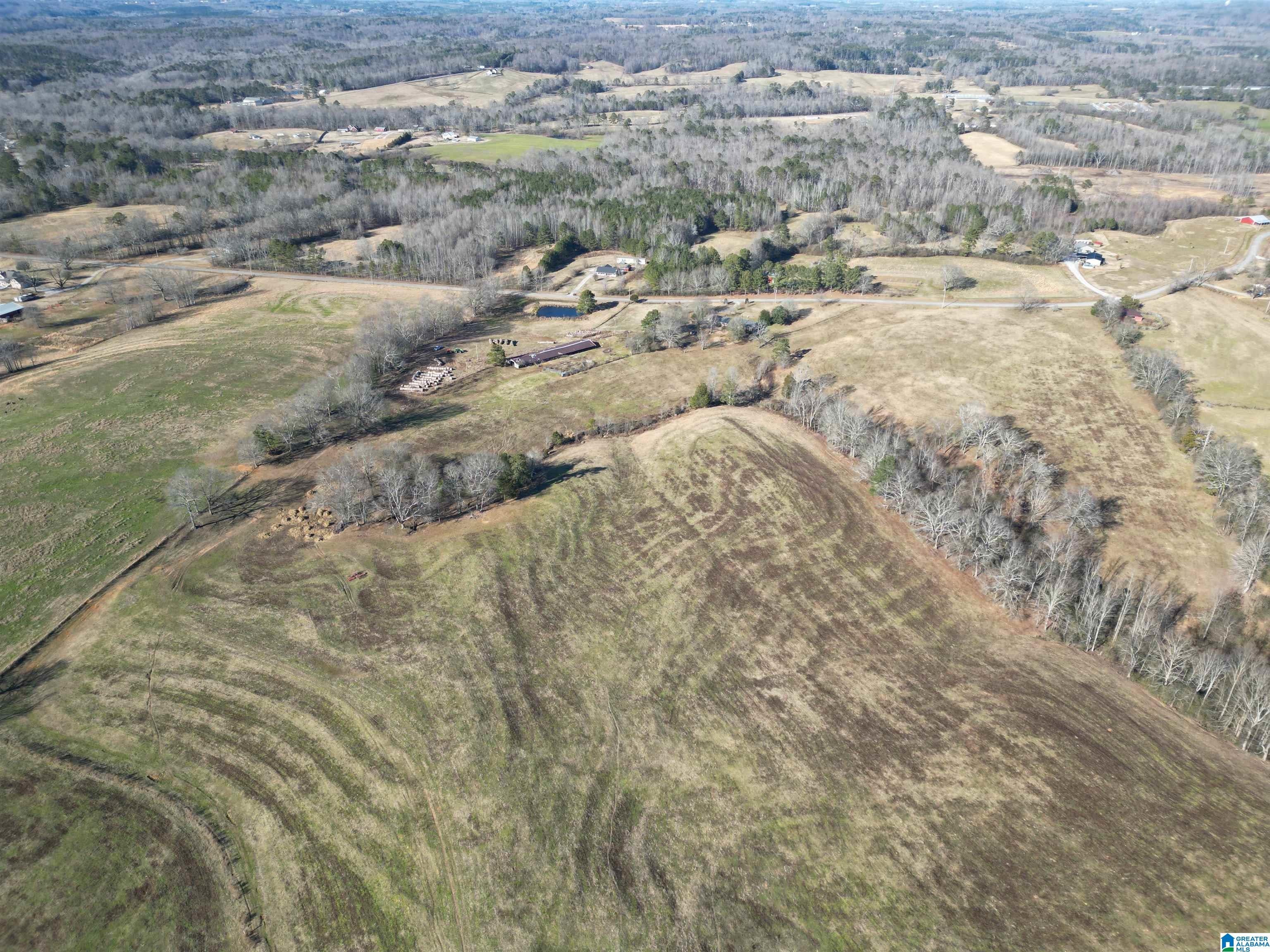 682 County Road 832 Logan, AL 35098 - Photo 25 of 48